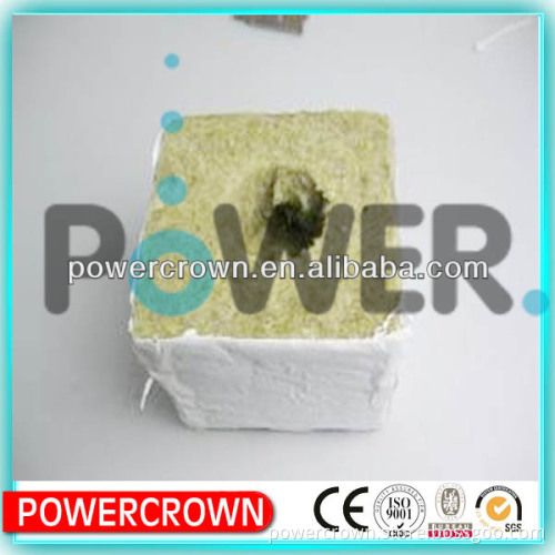 Hydroponic agriculture rock wool cubes